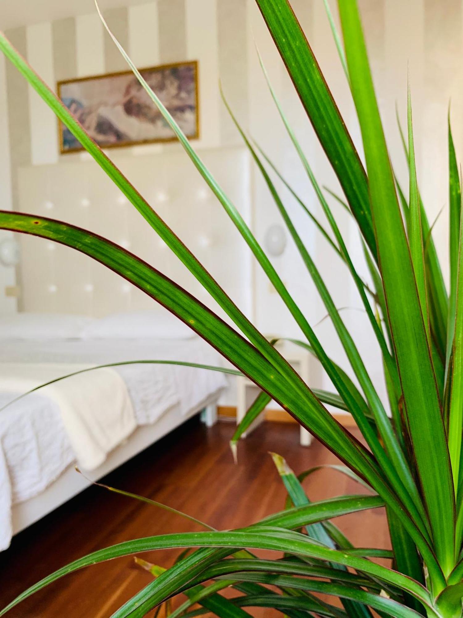 Hotel Baby B&B Milano Marittima Eksteriør billede